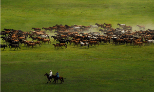 2025年山西省成人高考會(huì)考什么科目？會(huì)很難嗎？