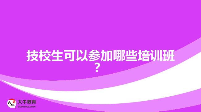 技校生可以參加哪些培訓(xùn)班？