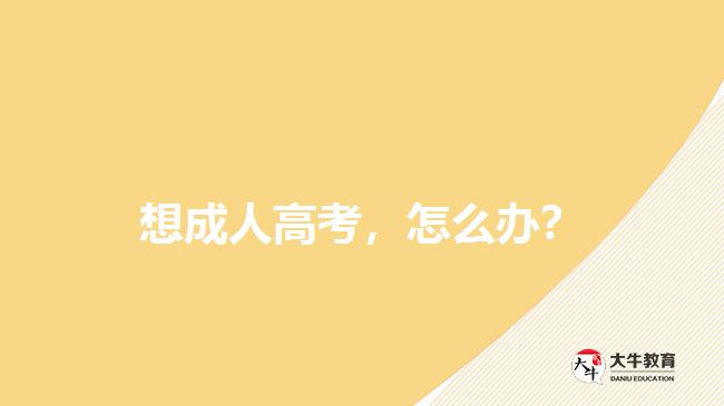 想成人高考，怎么辦？