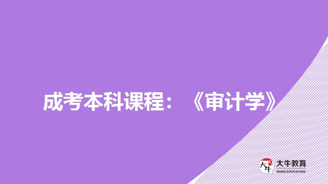 成考本科課程:《審計學(xué)》