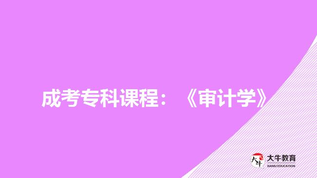 成考?？普n程：《審計學》