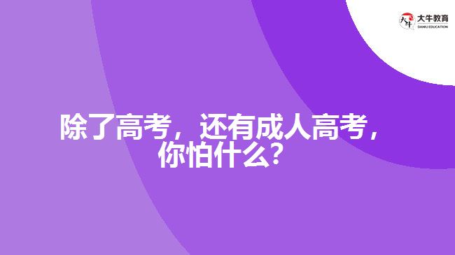 除了高考，還有成人高考，你怕什么？