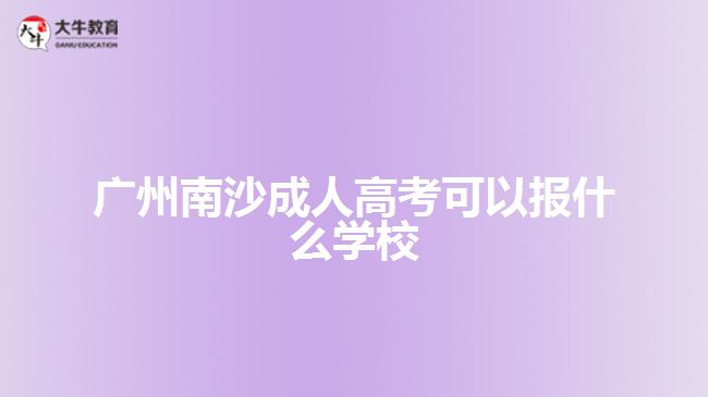 廣州南沙成人高考可以報什么學校