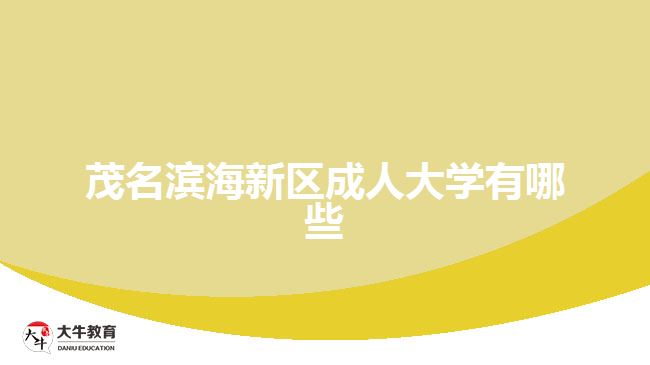 茂名濱海新區(qū)成人大學有哪些