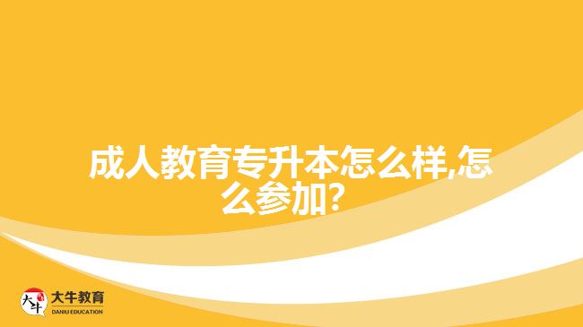 成人教育專升本怎么樣,怎么參加？