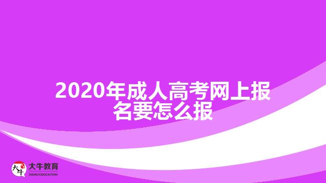 ，2020年成人高考網(wǎng)上報(bào)名要怎么報(bào)