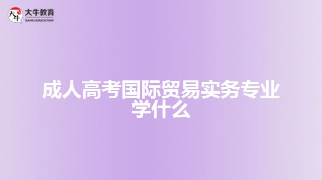 成人高考國際貿易實務專業(yè)學什么