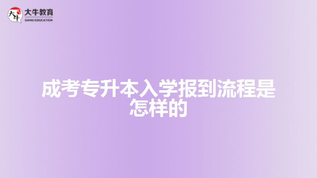 成考專(zhuān)升本入學(xué)報(bào)到流程是怎樣的