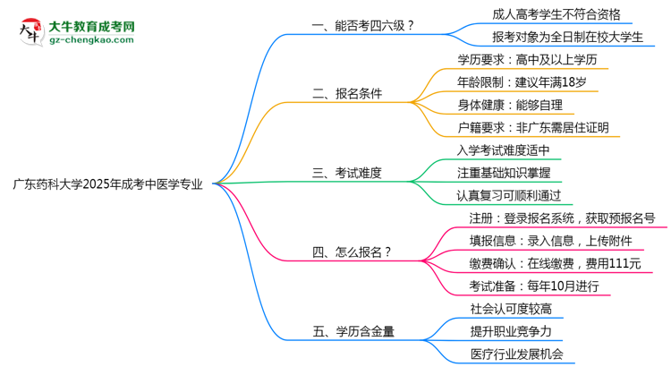 廣東藥科大學(xué)2025年成考中醫(yī)學(xué)專業(yè)生可不可以考四六級(jí)？思維導(dǎo)圖