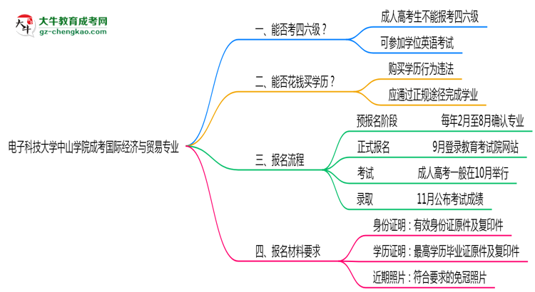 電子科技大學(xué)中山學(xué)院2025年成考國(guó)際經(jīng)濟(jì)與貿(mào)易專(zhuān)業(yè)生可不可以考四六級(jí)？思維導(dǎo)圖