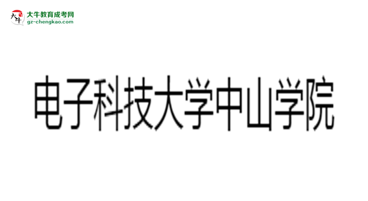 電子科技大學中山學院2025年成考財務管理專業(yè)生可不可以考四六級？思維導圖