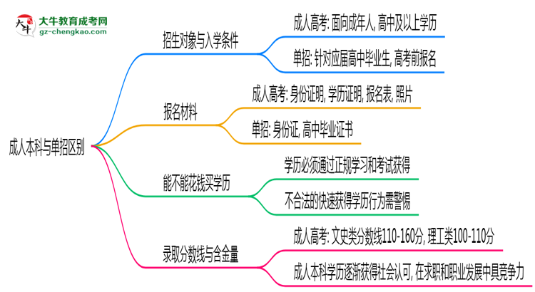 成人本科與單招區(qū)別在哪？2025年深圳考生必看對比指南思維導(dǎo)圖