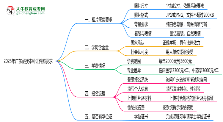 2025年廣東函授本科證件照要求：藍底/尺寸/修圖思維導圖