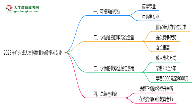 2025年廣東成人高考執(zhí)業(yè)藥師報(bào)考專業(yè)思維導(dǎo)圖