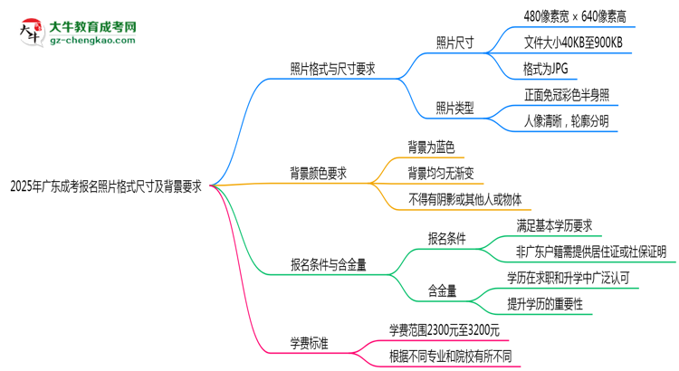 2025年廣東成考報名照片格式尺寸及背景要求思維導(dǎo)圖