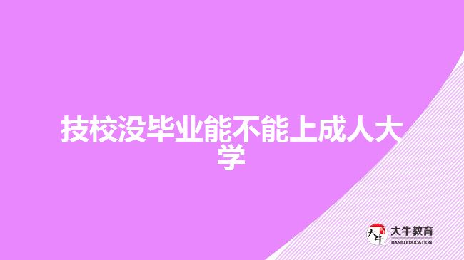 技校沒(méi)畢業(yè)能不能上成人大學(xué)
