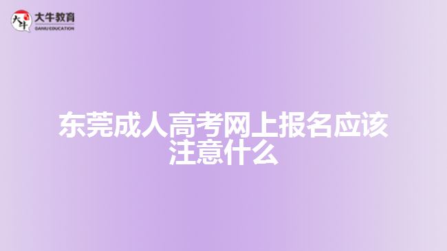 東莞成人高考網(wǎng)上報名應該注意什么