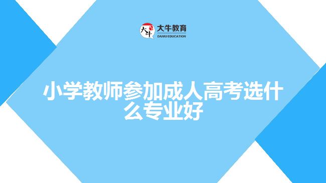 小學教師參加成人高考選什么專業(yè)好