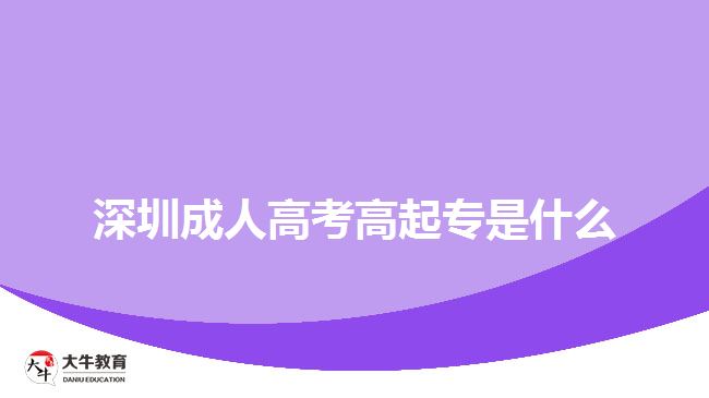 深圳成人高考高起專(zhuān)是什么