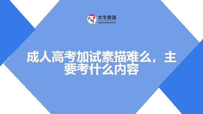 成人高考加試素描難么，主要考什么內(nèi)容