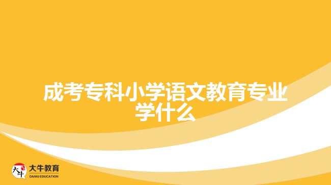 成考專科小學(xué)語文教育專業(yè)學(xué)什么