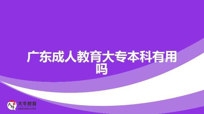 廣東成人教育大專(zhuān)本科有用嗎