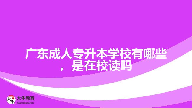 廣東成人專升本學校有哪些