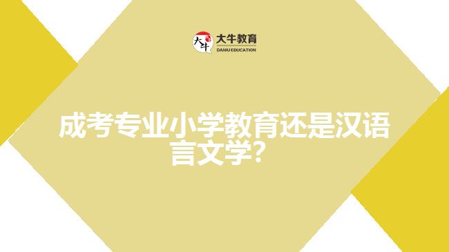 成考小學(xué)教育還是漢語(yǔ)言文學(xué)?