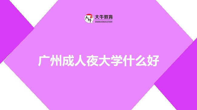 廣州成人夜大學什么好