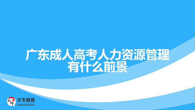 廣東成人高考人力資源管理有什么前景