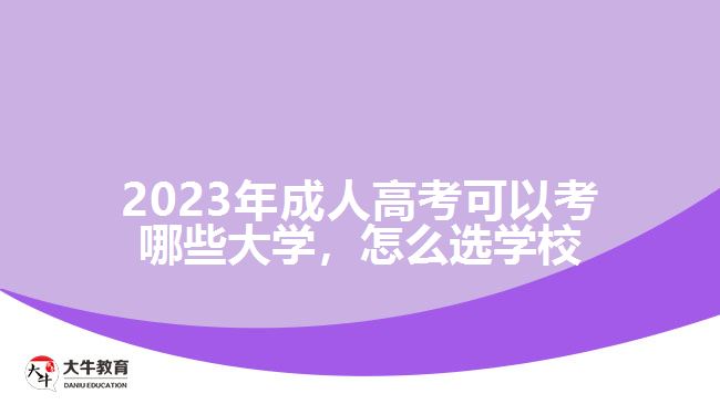 2023年成人高考可以考哪些大學