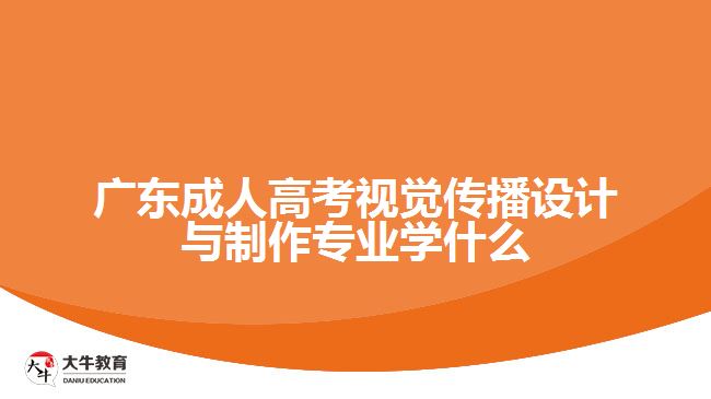 廣東成人高考視覺傳播設(shè)計與制作專業(yè)學什么