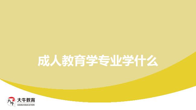 成人教育學(xué)專業(yè)學(xué)什么