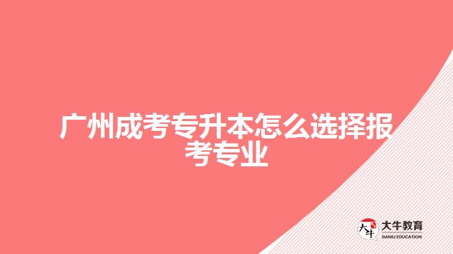 廣州成考專升本怎么選擇報考專業(yè)