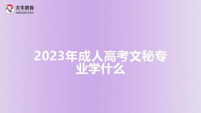 2023年成人高考文秘專業(yè)學(xué)什么 2023年成人高考文秘專業(yè)學(xué)什么