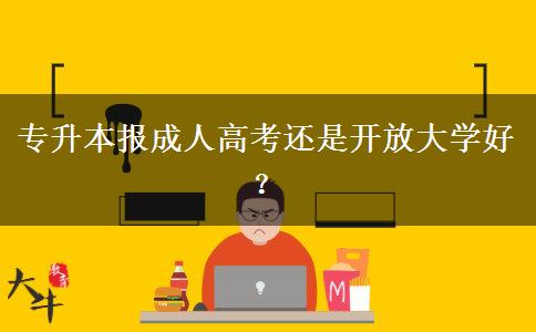 專升本報(bào)成人高考還是開放大學(xué)好？