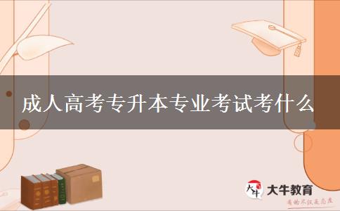成人高考專(zhuān)升本專(zhuān)業(yè)考試考什么