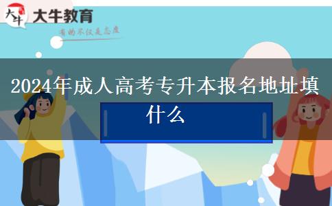 2024年成人高考專升本報(bào)名地址填什么 2024年成人高考專升本報(bào)名地址填什么