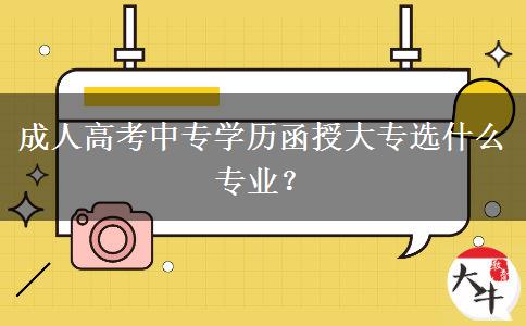 成人高考中專學(xué)歷函授大專選什么專業(yè)？