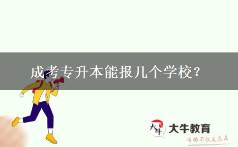 成考專升本能報幾個學校？
