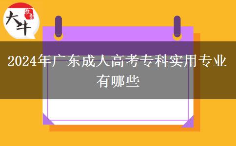 2024年廣東成人高考?？茖?shí)用專業(yè)有哪些