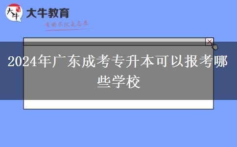 2024年廣東成考專升本可以報(bào)考哪些學(xué)校 2024年廣東成考專升本可以報(bào)考哪些學(xué)校