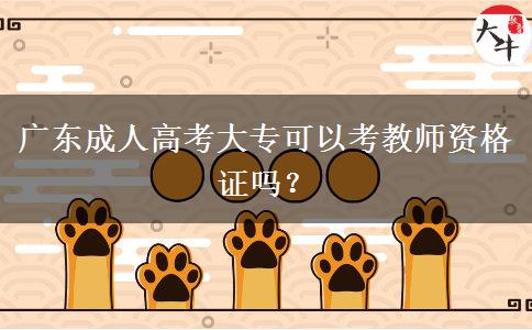 廣東成人高考大?？梢钥冀處熧Y格證嗎？