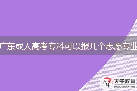 廣東成人高考?？瓶梢詧?bào)幾個(gè)志愿專業(yè)