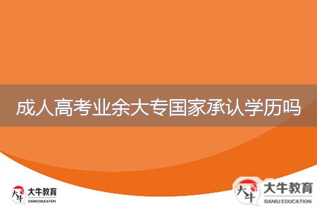 成人高考業(yè)余大專國(guó)家承認(rèn)學(xué)歷嗎