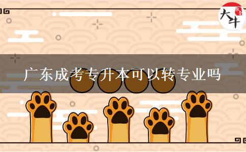 廣東成考專(zhuān)升本可以轉(zhuǎn)專(zhuān)業(yè)嗎