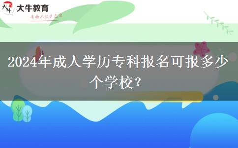 2024年成人學(xué)歷專科報(bào)名可報(bào)多少個(gè)學(xué)校？