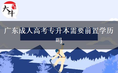 廣東成人高考專升本需要前置學(xué)歷嗎 廣東成人高考專升本需要前置學(xué)歷嗎