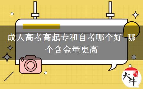 成人高考高起專和自考哪個好。</div>
                    <div   class=