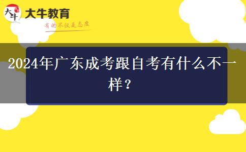 2024年廣東成考跟自考有什么不一樣？
